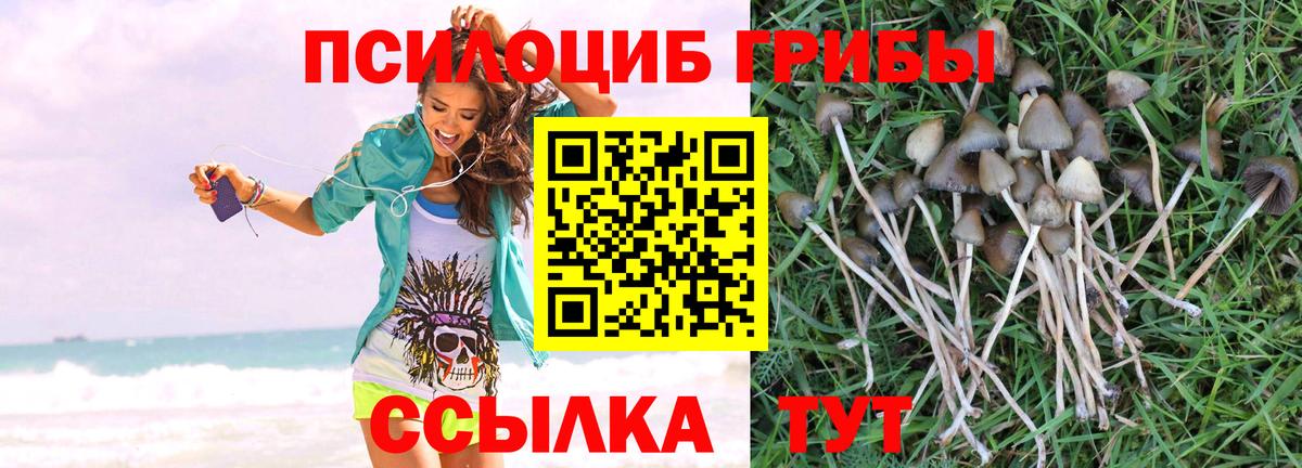 Псилоцибиновые грибы Magic Shrooms  купить наркотик  Батайск  Вход с VPN 